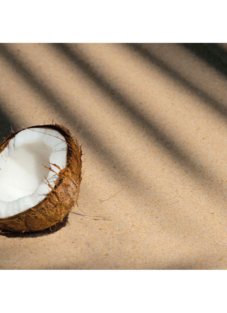 Масло сухое для лица, тела и волос PHYTOCEANE Zanzibar