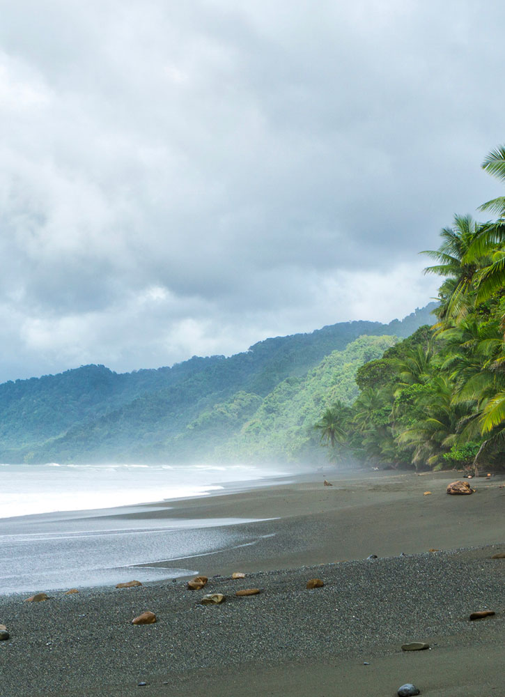 Крем для тела с гуавой PHYTOCEANE Costa Rica