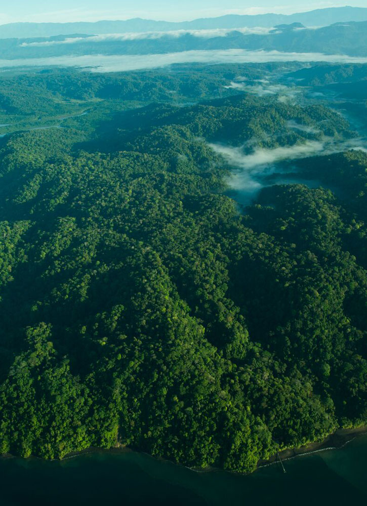 Мыло питательное ароматическое PHYTOCEANE Costa Rica