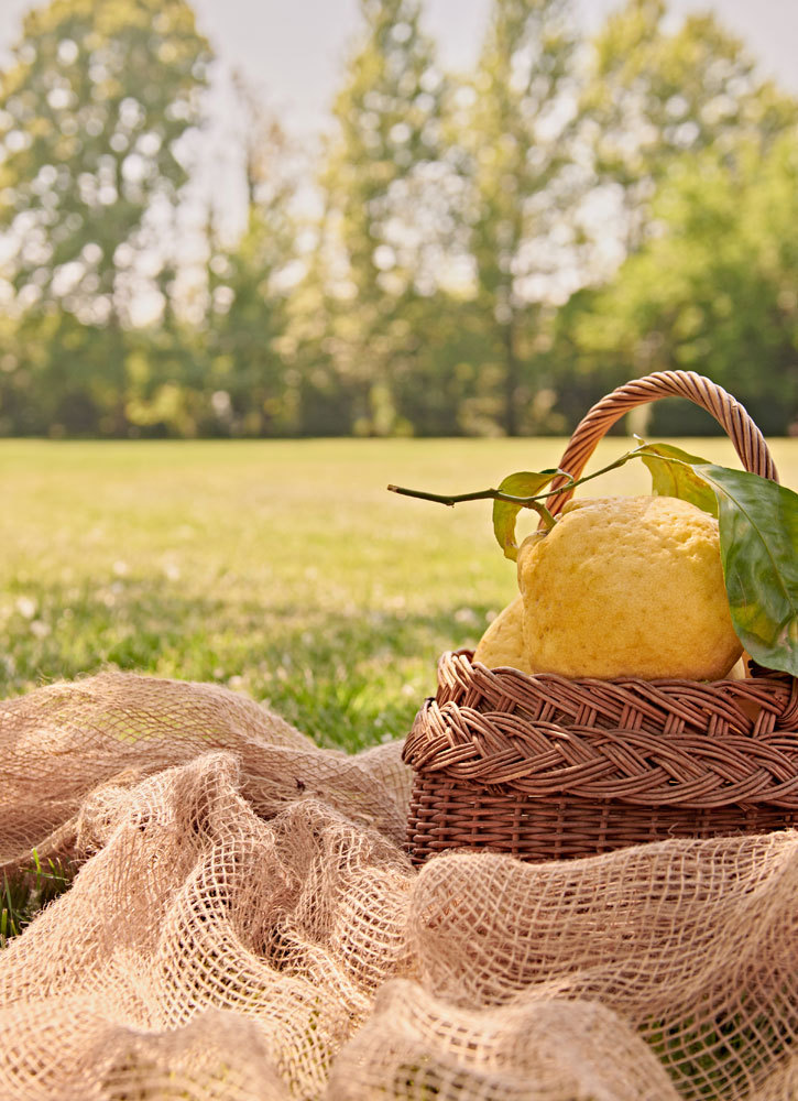 Туалетная вода L'ERBOLARIO Калабрийский цитрон
