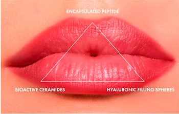 Lipfull10.jpg