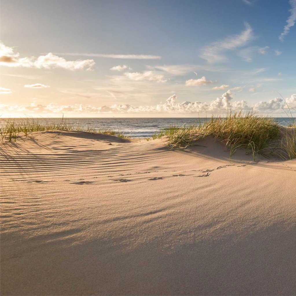 DUNES/ДЮНЫ Дюны.jpg