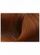 Стойкая крем-краска для волос Beauty Color Professional тон 7.43