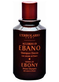 Шампунь-гель для душа Notes of Ebony 