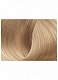 Стойкая крем-краска для волос Beauty Color Professional тон 10.1
