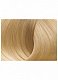 Стойкая крем-краска для волос Beauty Color Professional тон 10.13 very very l.blonde coolbeige