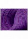 Стойкая крем-краска для волос Beauty Color Professional-Pastels тон 9.5/28