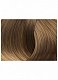 Стойкая крем-краска для волос Beauty Color Professional, тон 8.13 light blonde cool beige